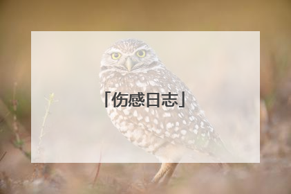 伤感日志