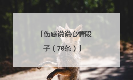 伤感说说心情段子(70条)