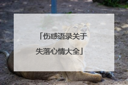 伤感语录关于失落心情大全