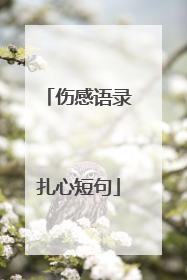 伤感语录扎心短句