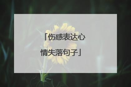 伤感表达心情失落句子