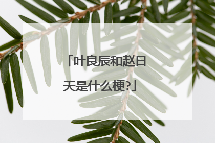 叶良辰和赵日天是什么梗?