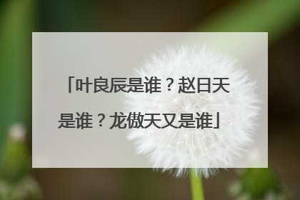 叶良辰是谁?赵日天是谁?龙傲天又是谁