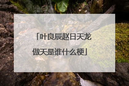叶良辰赵日天龙傲天是谁什么梗
