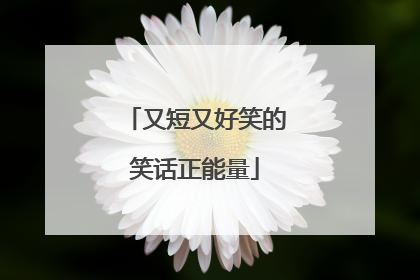 又短又好笑的笑话正能量
