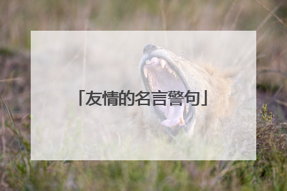 友情的名言警句