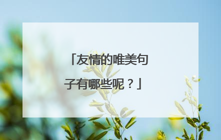 友情的唯美句子有哪些呢?