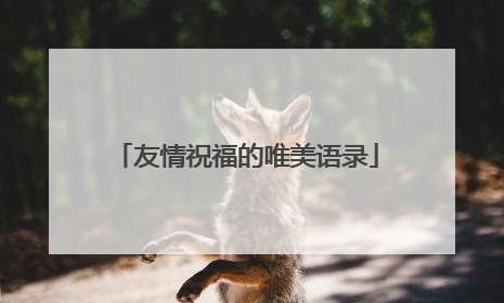 友情祝福的唯美语录