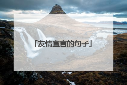 友情宣言的句子