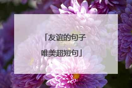 友谊的句子唯美超短句