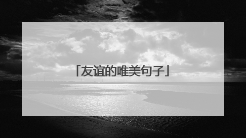 友谊的唯美句子