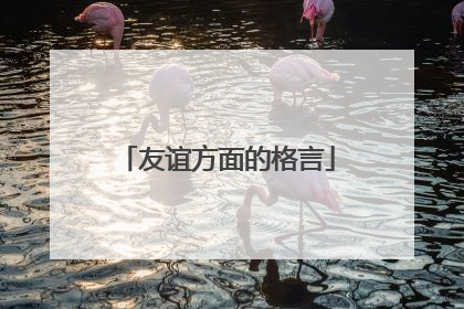 友谊方面的格言