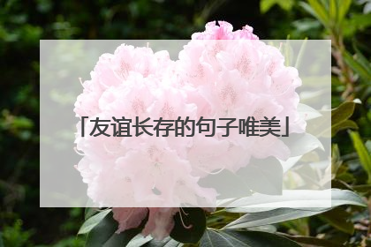友谊长存的句子唯美