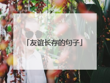 友谊长存的句子