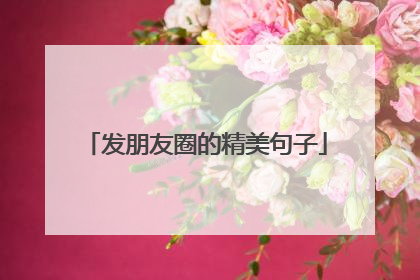 发朋友圈的精美句子