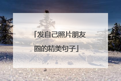 发自己照片朋友圈的精美句子