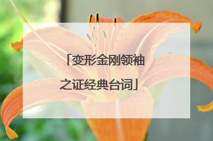 变形金刚领袖之证经典台词