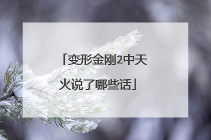 变形金刚2中天火说了哪些话