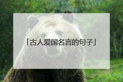 古人爱国名言的句子