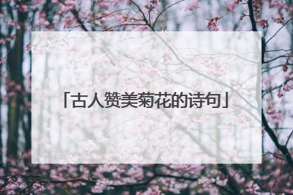 古人赞美菊花的诗句