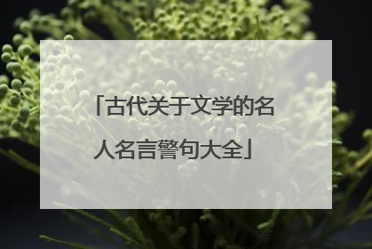 古代关于文学的名人名言警句大全