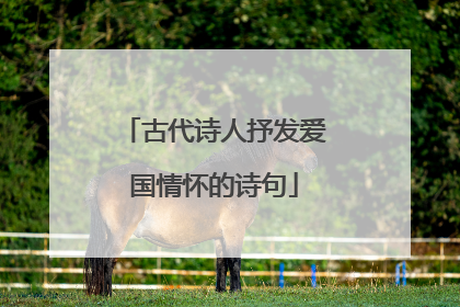 古代诗人抒发爱国情怀的诗句