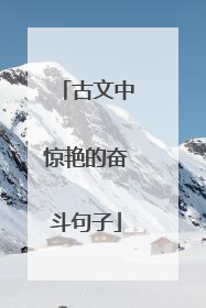 古文中惊艳的奋斗句子