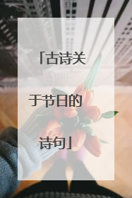 古诗关于节日的诗句