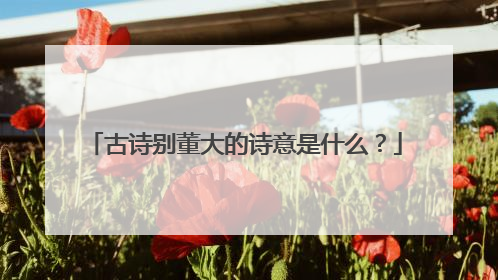 古诗别董大的诗意是什么?