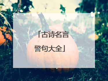 古诗名言警句大全