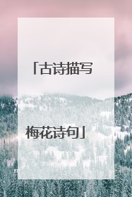 古诗描写梅花诗句