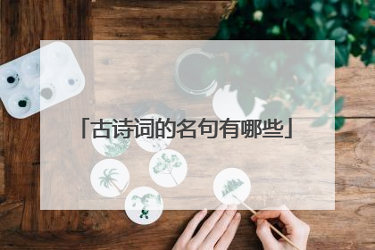 古诗词的名句有哪些