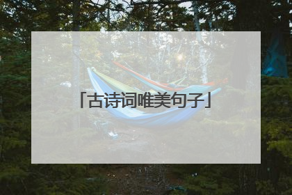 古诗词唯美句子