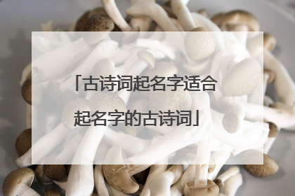 古诗词起名字适合起名字的古诗词