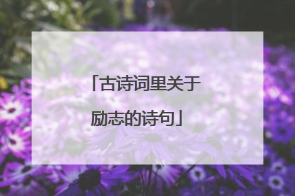 古诗词里关于励志的诗句