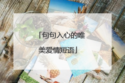 句句入心的唯美爱情短语