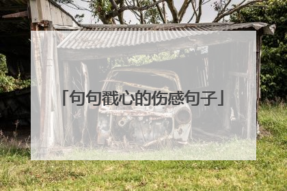句句戳心的伤感句子