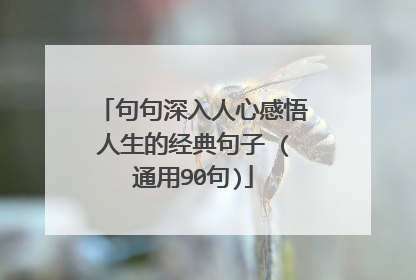 句句深入人心感悟人生的经典句子 (通用90句)