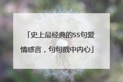 史上最经典的55句爱情感言,句句戳中内心