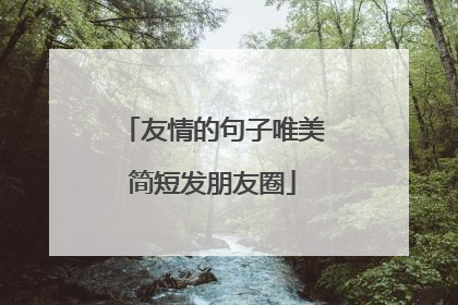 友情的句子唯美简短发朋友圈