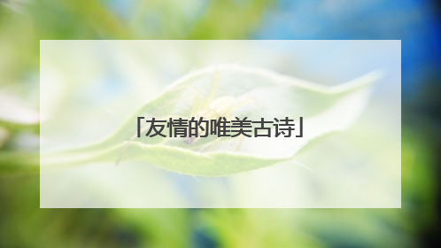 友情的唯美古诗