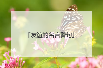 友谊的名言警句