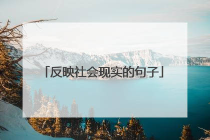 反映社会现实的句子