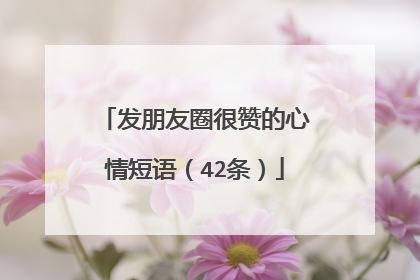 发朋友圈很赞的心情短语(42条)