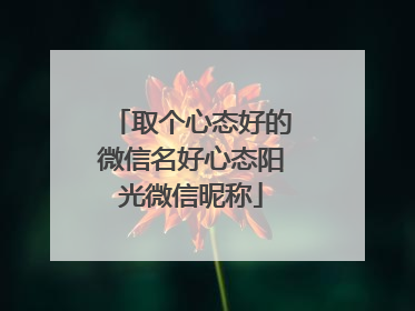 取个心态好的微信名好心态阳光微信昵称