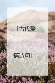 古代爱情诗句