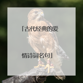 古代经典的爱情诗词名句