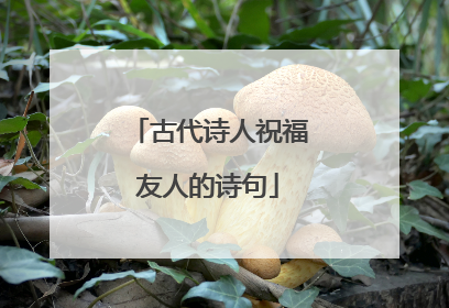 古代诗人祝福友人的诗句
