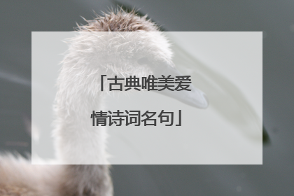 古典唯美爱情诗词名句