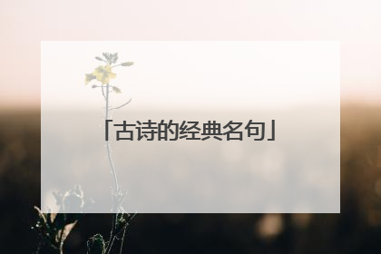 古诗的经典名句